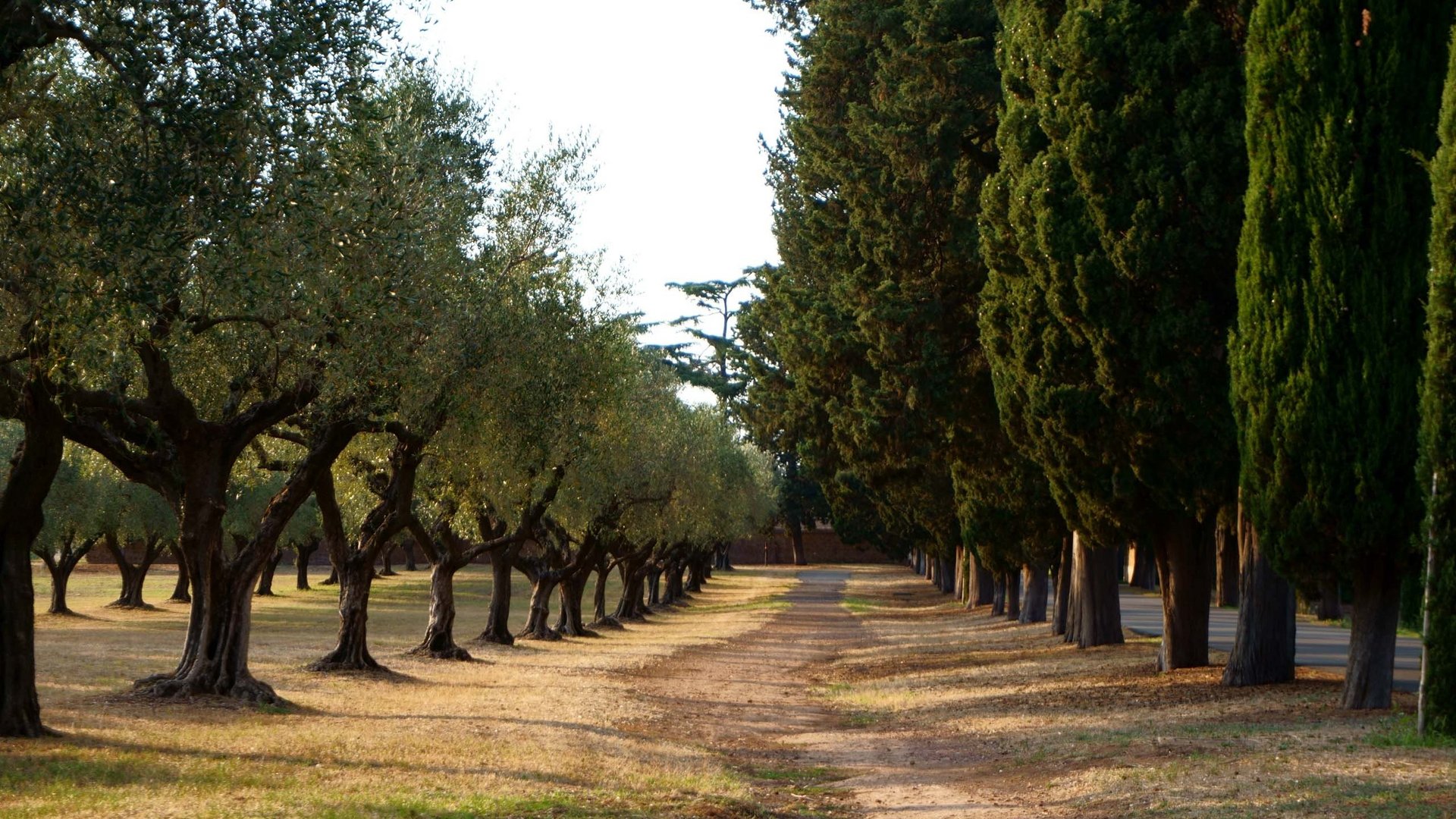 Relaxation by Lake Garda: our garden Relaxation by Lake Garda: our garden